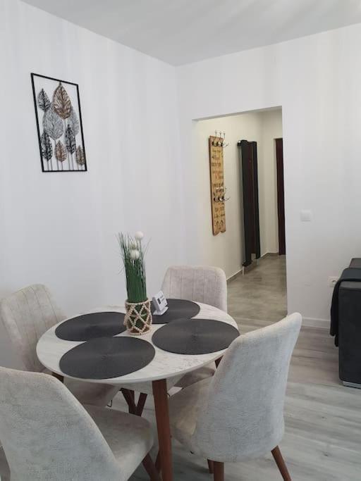Apartament Ama 시비우 외부 사진