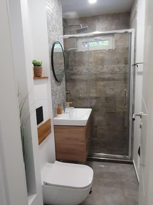 Apartament Ama 시비우 외부 사진
