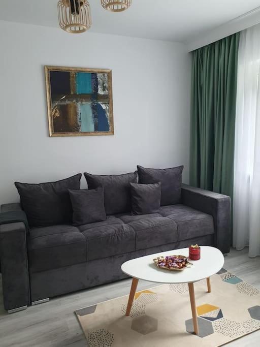 Apartament Ama 시비우 외부 사진