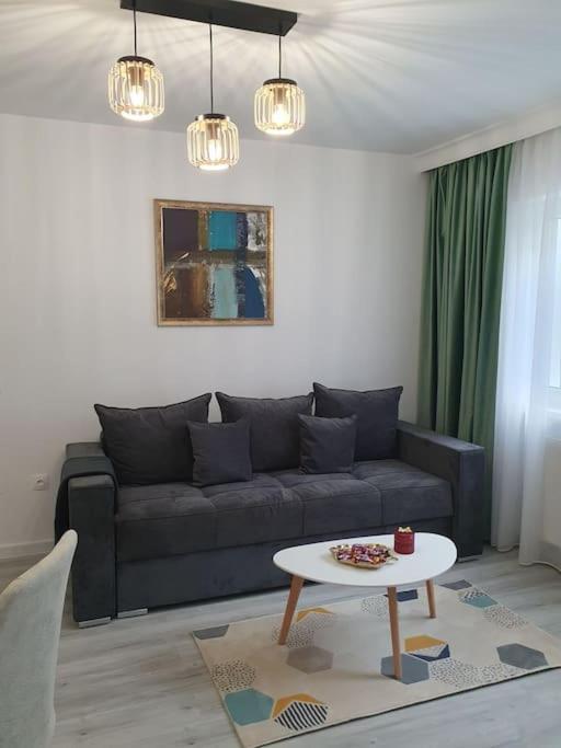 Apartament Ama 시비우 외부 사진