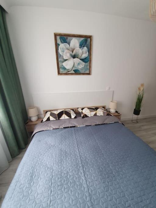 Apartament Ama 시비우 외부 사진
